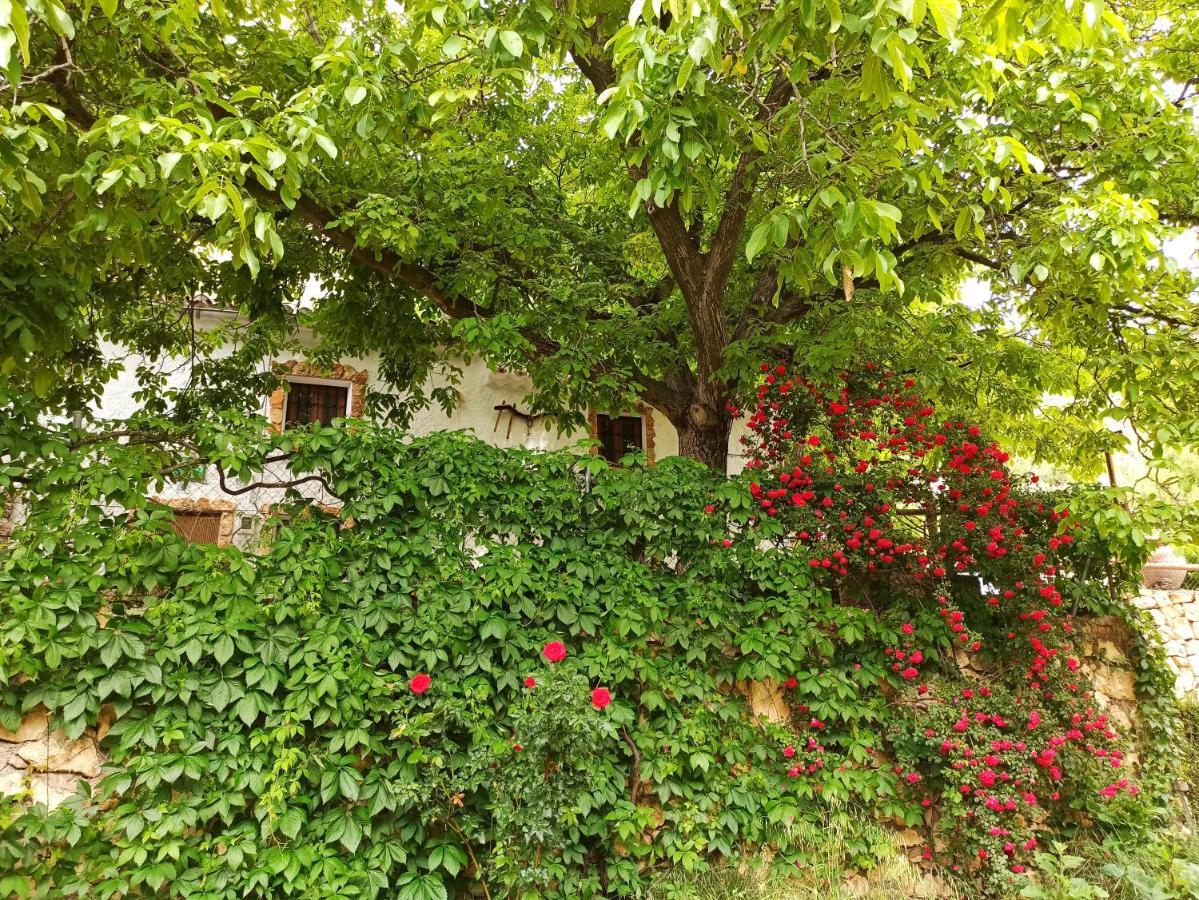Cortijo Ramon Petra ξενώνας Nerpio Εξωτερικό φωτογραφία